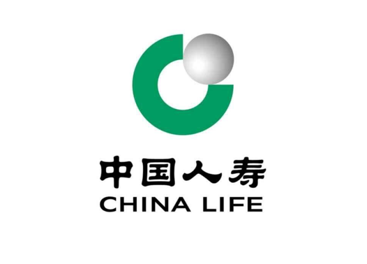 合作险企
